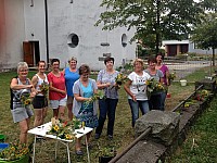 Kräuterbuschen2